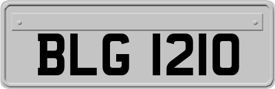 BLG1210