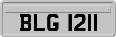 BLG1211