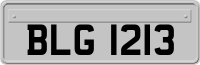 BLG1213