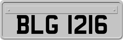 BLG1216