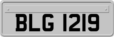 BLG1219