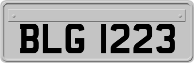 BLG1223