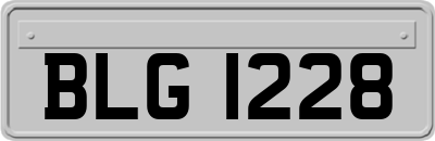 BLG1228