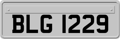 BLG1229