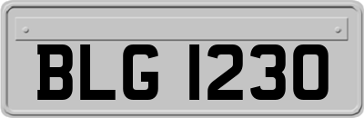 BLG1230