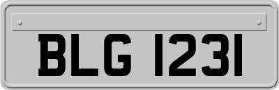 BLG1231