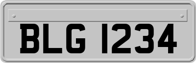 BLG1234