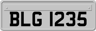 BLG1235
