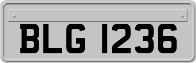 BLG1236