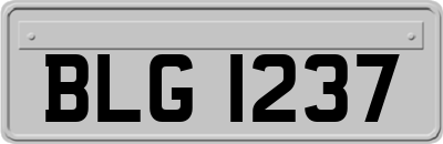 BLG1237