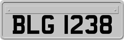 BLG1238