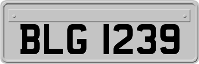 BLG1239