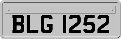 BLG1252