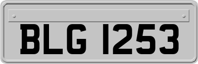 BLG1253
