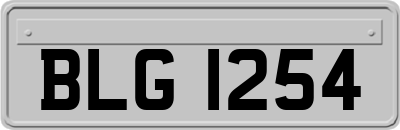 BLG1254