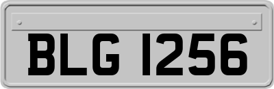BLG1256