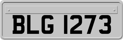 BLG1273