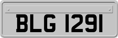 BLG1291