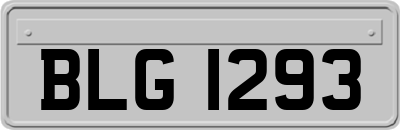 BLG1293