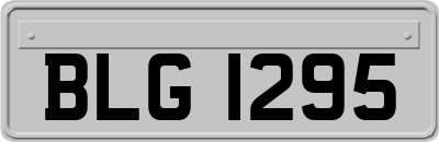 BLG1295