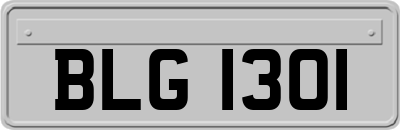 BLG1301