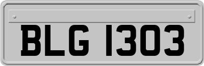 BLG1303