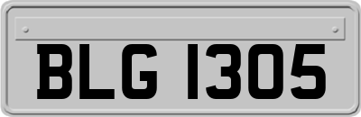 BLG1305