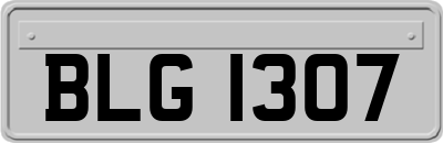 BLG1307