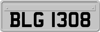 BLG1308