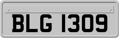 BLG1309