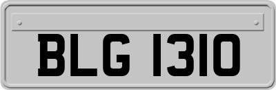 BLG1310