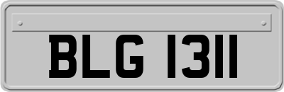 BLG1311