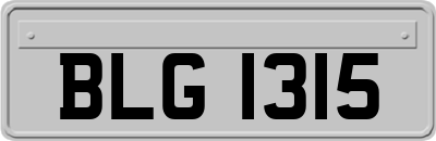 BLG1315
