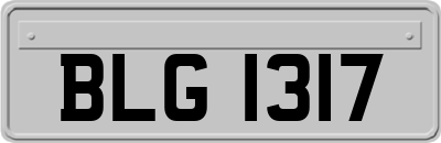 BLG1317