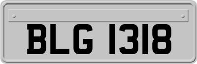 BLG1318