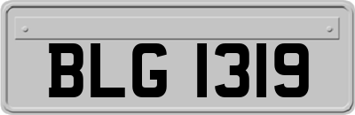 BLG1319