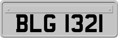 BLG1321