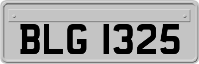 BLG1325