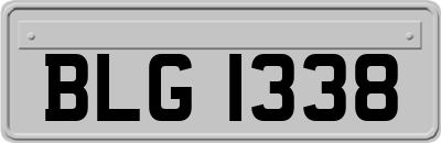 BLG1338
