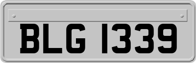 BLG1339