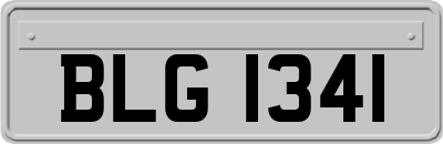 BLG1341