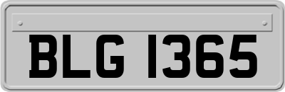 BLG1365