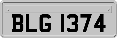 BLG1374