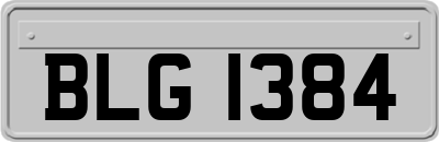 BLG1384