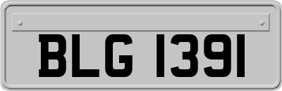 BLG1391