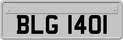BLG1401