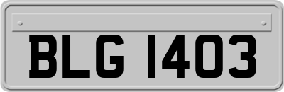 BLG1403