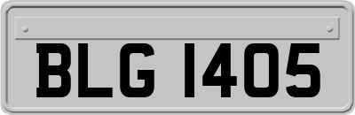 BLG1405