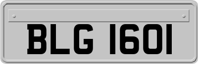 BLG1601