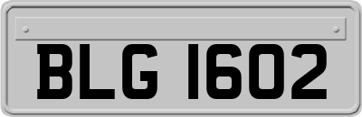 BLG1602
